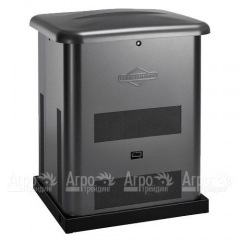 Газовый генератор Briggs&Stratton Home Standby 8000 Вт в Набережных Челнах
