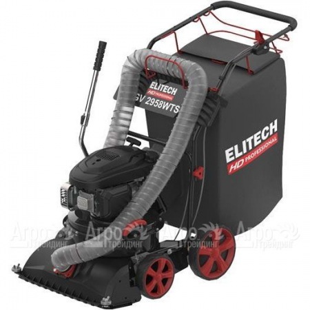 Пылесос садовый бензиновый Elitech HD GV 2958WTS (E1608.008.00) в Набережных Челнах