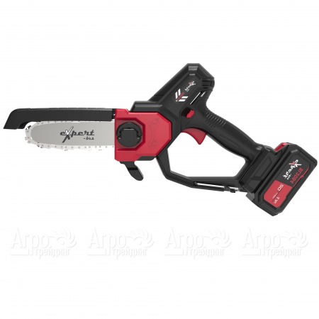 Аккумуляторный сучкорез Expert bis PSBL15 в Набережных Челнах