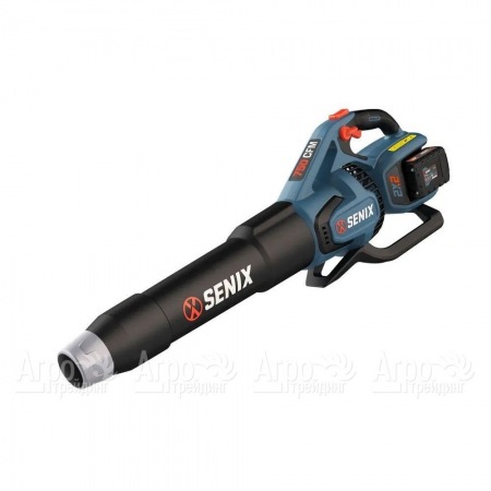 Воздуходувка аккумуляторная Senix BLAX2-M2-EU в Набережных Челнах