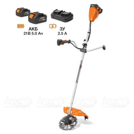 Аккумуляторный триммер Daewoo DABC 4242Li SET в Набережных Челнах