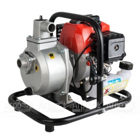 Бензиновая мотопомпа DDE PN25-II в Набережных Челнах