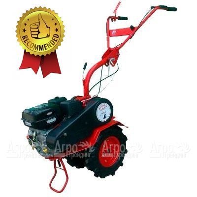 Мотоблок Агат БС-6.5 с двигателем Briggs&#38;Stratton RS 6.5 л.с. (фрезы в комплекте) в Набережных Челнах