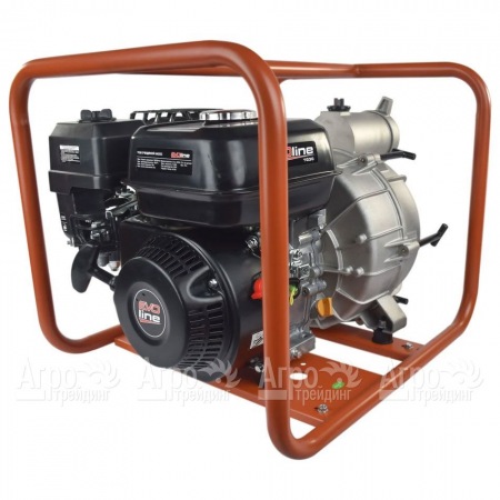Бензиновая мотопомпа EVOline TG 30 в Набережных Челнах
