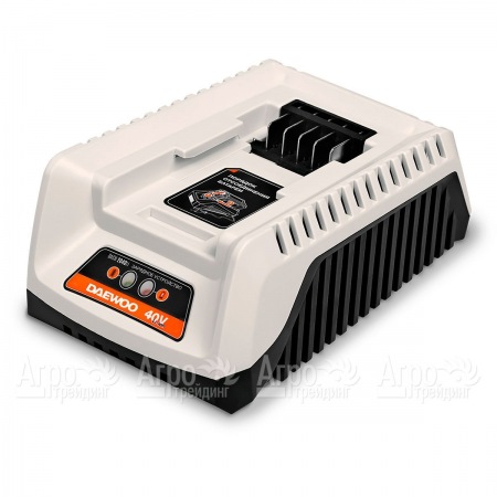 Универсальное зарядное устройство Daewoo DACH 2040Li в Набережных Челнах