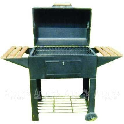 Гриль-барбекю Green Glade YD-Garden Grill в Набережных Челнах