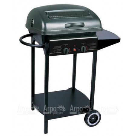 Гриль-барбекю газовый Green Glade RH-2210A в Набережных Челнах