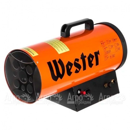 Газовая тепловая пушка Wester TG-20 в Набережных Челнах
