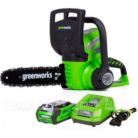 Аккумуляторная пила GreenWorks G40CS30II-12" 2 Ач в Набережных Челнах