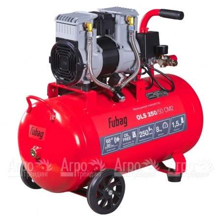 Компрессор безмасляный малошумный Fubag OLS 250/50 CM2 в Набережных Челнах