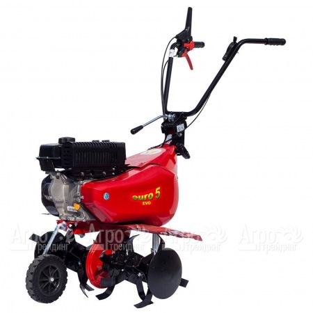 Культиватор Eurosystems Euro-5 EVO RM S/R Loncin TM60 в Набережных Челнах