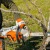 Аккумуляторная пила Stihl MSA 220 C-BQ-14" (без аккумулятора и зарядного устройства) в Набережных Челнах