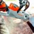 Аккумуляторная пила Stihl MSA 140 C-BQ-12 в Набережных Челнах