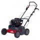 Скарификатор Eurosystems SC42B c двигателем Briggs&amp;Stratton 450 series в Набережных Челнах